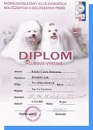 Kinky - Diplom KV Kyjov